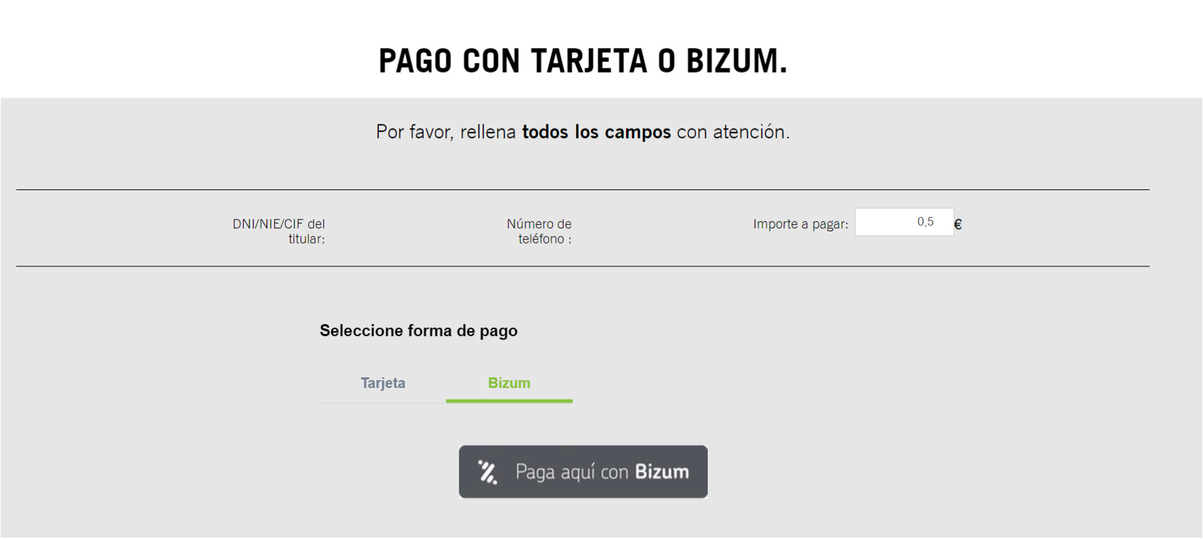 Cómo realizar pago online bizum 1