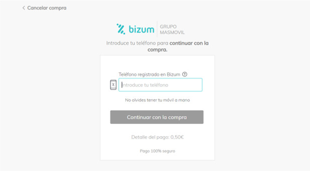 Cómo realizar pago online bizum