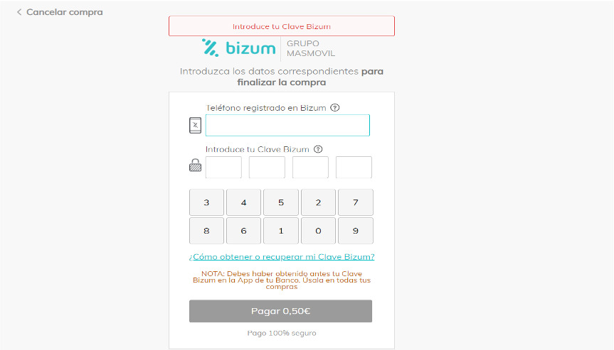 Cómo realizar pago online bizum